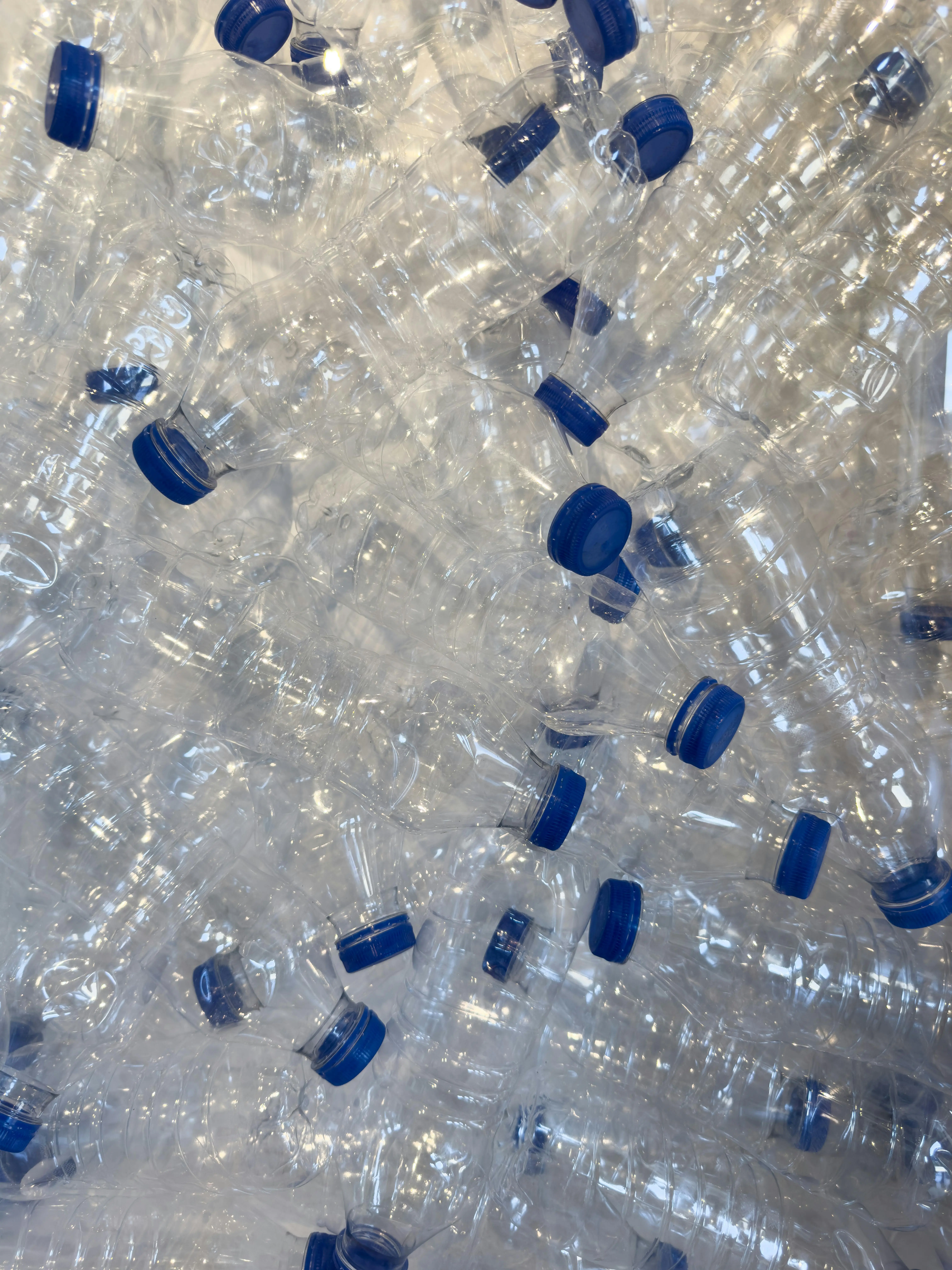 Pet Botella